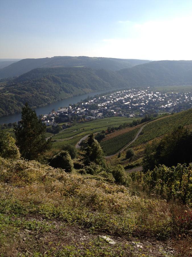 Hotel Springiersbacher-Hof Креф Екстер'єр фото